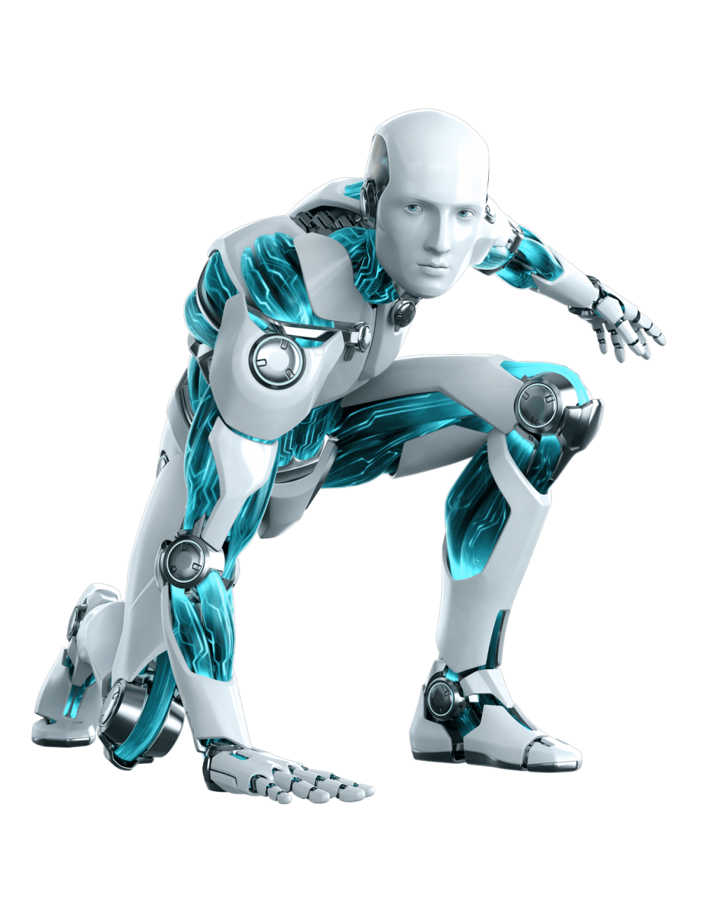 Gringo bot